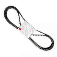 Set Cinture Temporizzazione