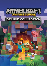 Minecraft java bedrock - java, &