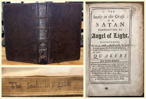 1698 the snake grass - snake, in