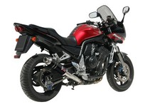 Mivv Scarico per YAMAHA FZS