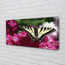 Tulup canvas print 100x50 wall - tulup,