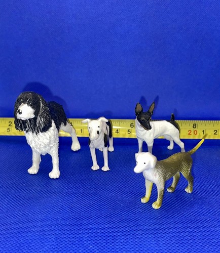 Miniatura spaniel greyhound - miniatura,
