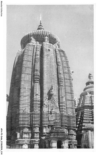 Apap3 0175 inde bhubanneswar - -,