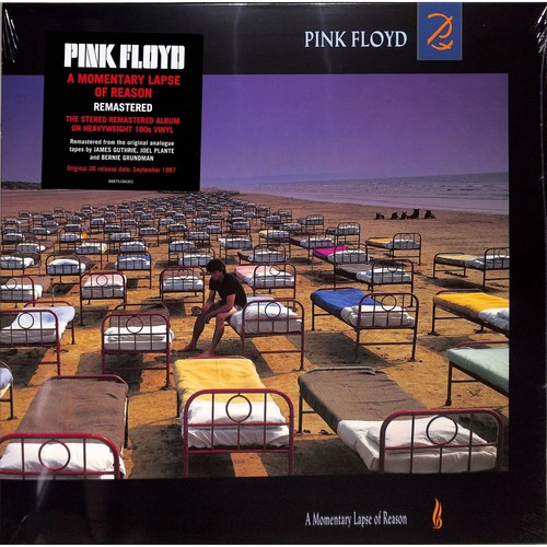 Pink floyd momentary lapse - /,