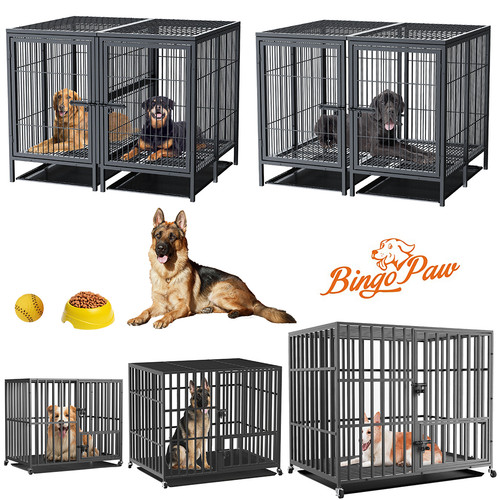 Box per cani xxl - cani, gabbia