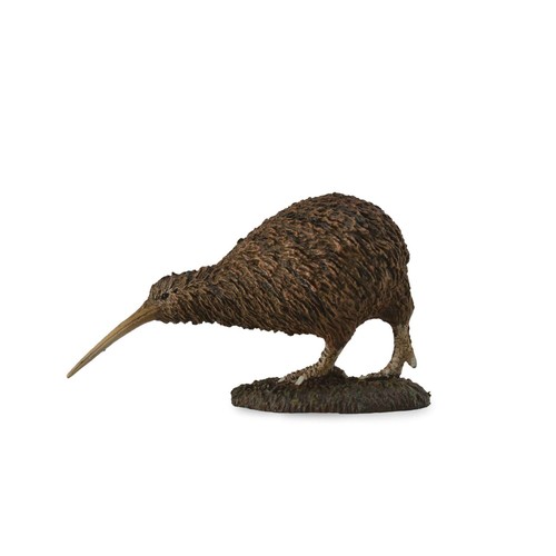 Kiwi collecta - kiwi,