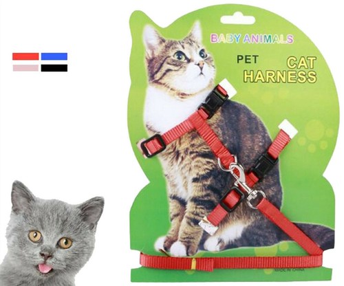 Guinzaglio pettorina nylon - guinzaglio+pettorina,