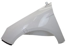 Anteriore Parafango Sinistro