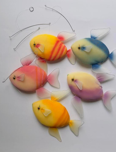 Pesce tropicale colorato - , da