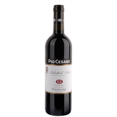Dolcetto alba doc - dolcetto,