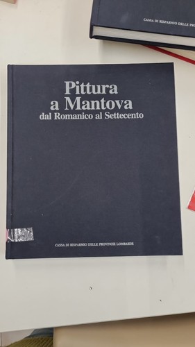 Lotto libri pittura mantova - libri:,