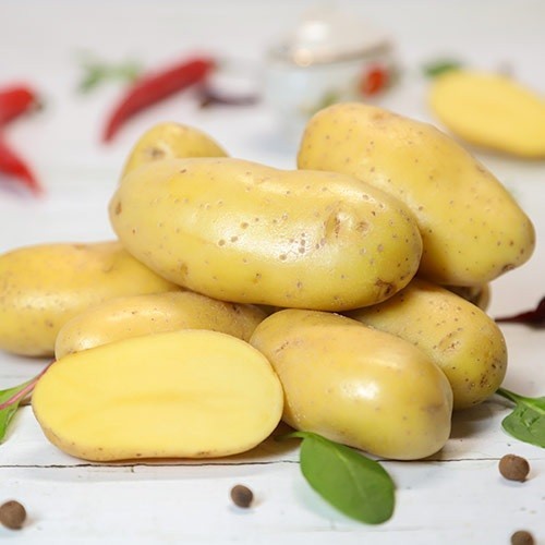 Potato leader g organic - leader, 0.02