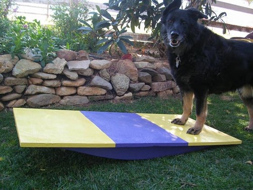 Dog agility equipment - dog, rocker/
