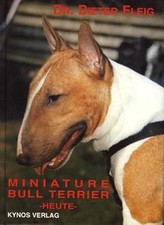 Miniature bull terrier - miniature,