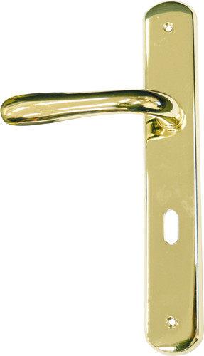 Maniglia con placca - maniglia, lucido