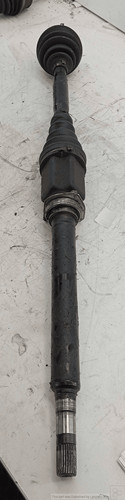 46308030 semialbero ant dx - semialbero, ant.