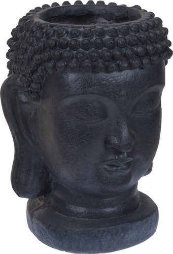 Testa buddha pianta vaso - testa, di