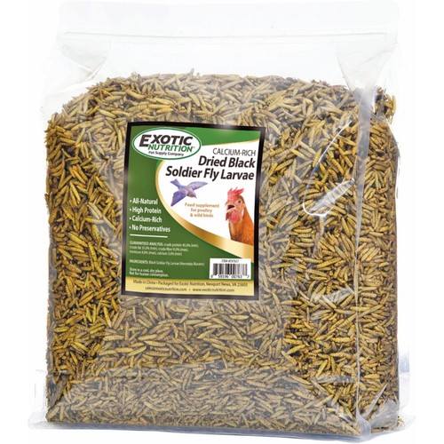 Larve mosca soldato - larve,