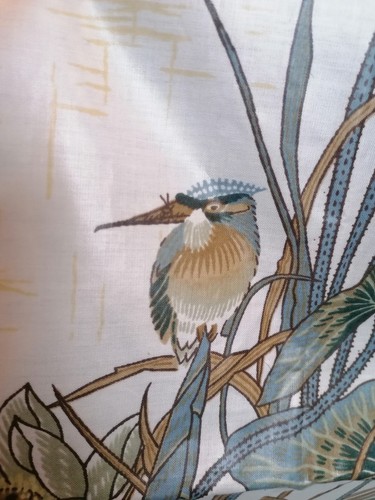 Kingfisher cinese nuovo
