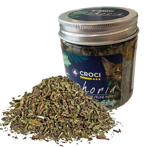Euphoria barattolo catnip erba - catnip,