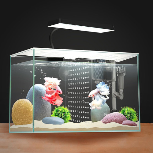 Acquario nano vetro galloni - vetro,
