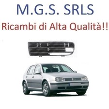 GRIGLIA PARAURTI ANTERIORE