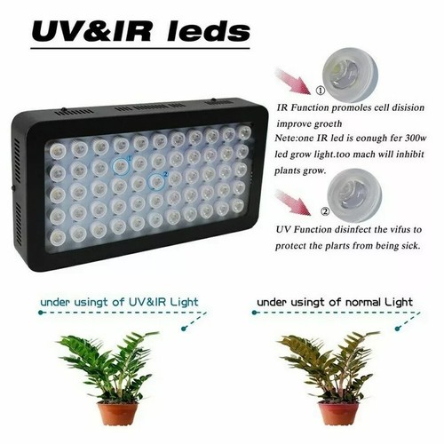 Lampada led corallo - lampada, coltura