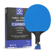 Professional Ping Pong
