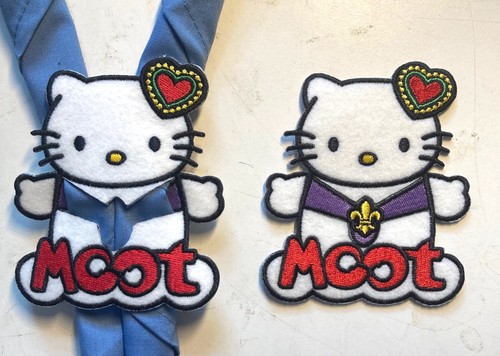 16th world scout moot 2025 - moot,