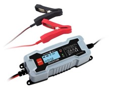 EVERACTIVE CBC-4 CARICA