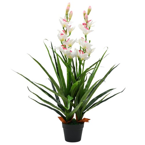 Vidaxl orchidea cymbidium - orchidea,