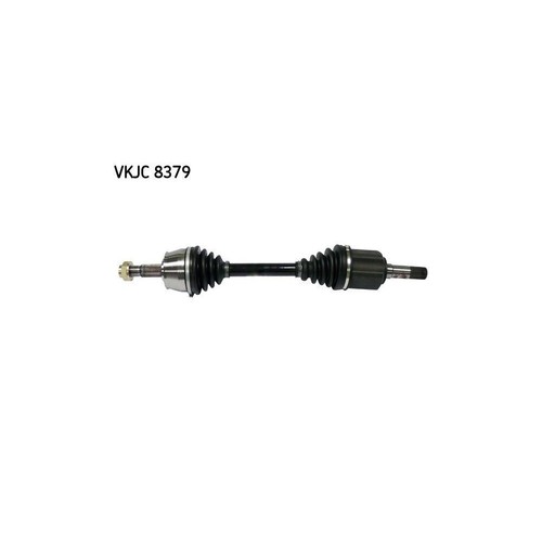 Albero motore skf - albero, 8379