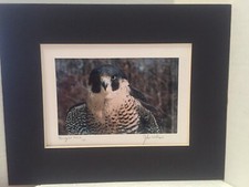 Foto firmata con cornice in