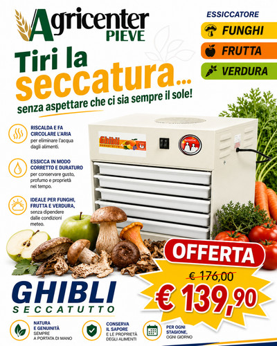 Essiccatore elettrico ghibli - essiccatore,