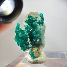 Raro cristallo dioptasio su - di,