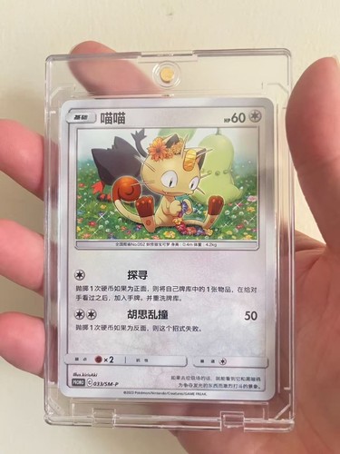 Pokémon tcg chinese sole - tcg, e