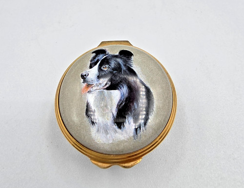 Border collie halcyon - border,