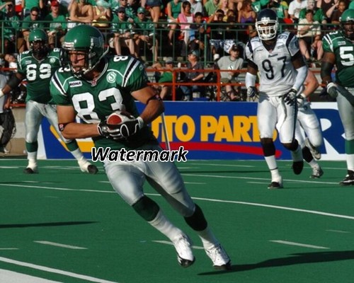Cfl saskatchewan roughrider - cfl,