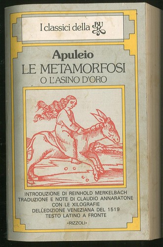 Metamorfosi asino d oro - metamorfosi, l'asino