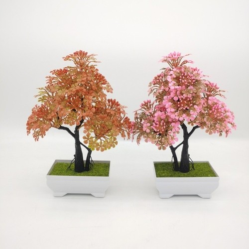 Bonsai plastica per - in,