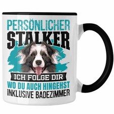 Trendation - Border Collie