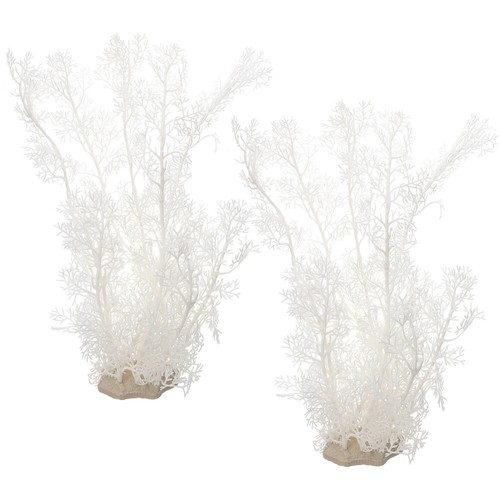 2pz piante per acquario pianta - per,