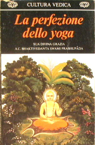 Perfezione dello yoga - perfezione,