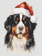 Dog's Delight Australian