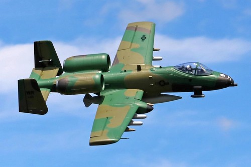 Girante freewing warthog - girante,