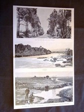 Guerra Transvaal nel 1900 Pretoria Tughela Modder River cercatori oro Sudafrica