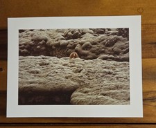 RONI HORN Eldhraun, Islanda