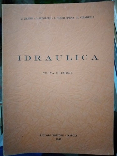 Nebbia ippolito viparelli - nebbia,