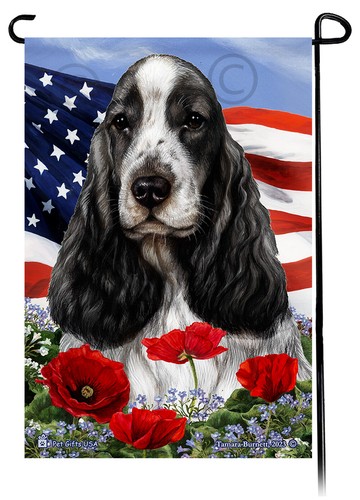 English cocker spaniel - english,