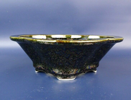 Vaso bonsai giapponese insegna